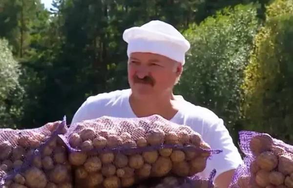 雪兰莪vs丁加奴_卢卡申科：我要带土豆去中国雪兰莪vs丁加奴，送给各国领导人