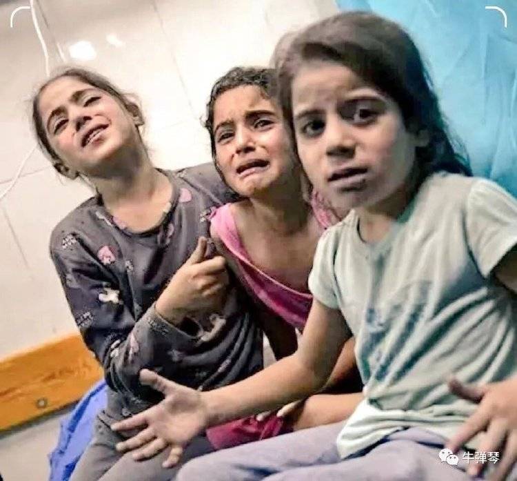 皇冠信用盘会员申请网址_以色列的最大麻烦来皇冠信用盘会员申请网址了