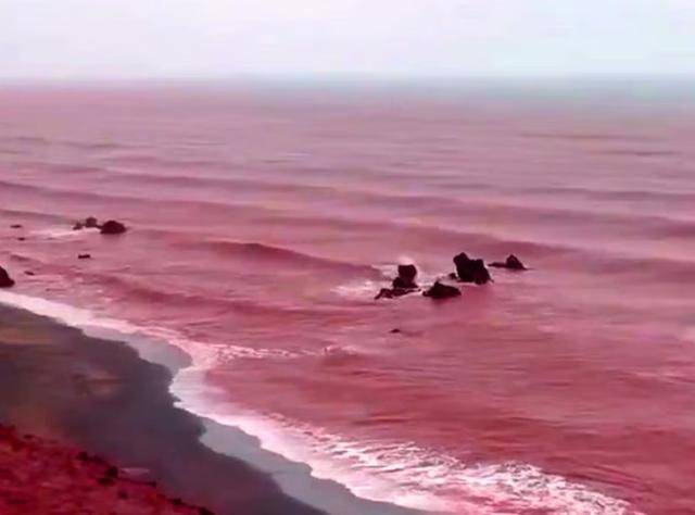 皇冠信用盘结算日是哪天
_罕见!伊朗霍尔木兹岛遭遇强降雨皇冠信用盘结算日是哪天
,部分海域变成“血色海洋”